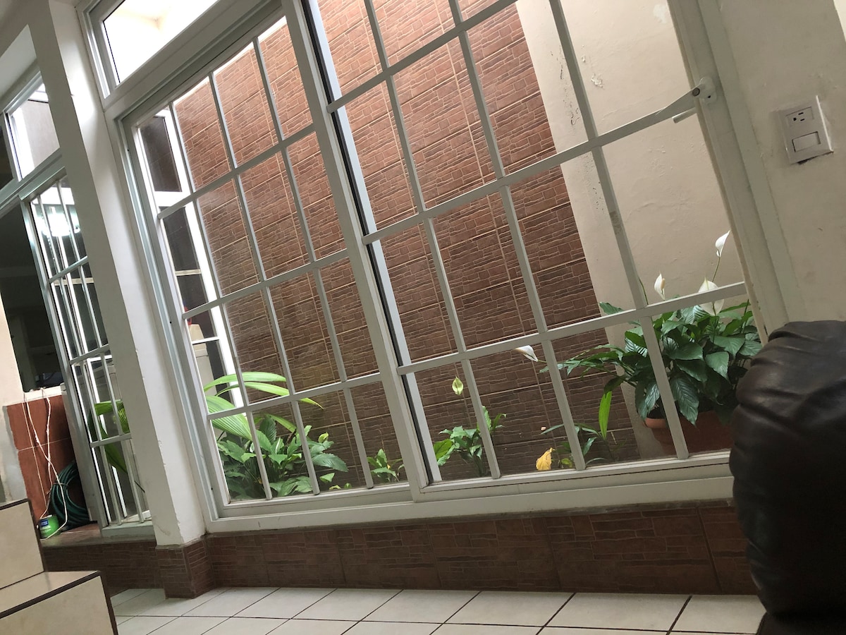 A series of large windows allow natural light to fill the space, framed by slender white bars. Green plants are visible in terracotta pots, adding a touch of nature to the area. A smooth tiled floor complements the design.