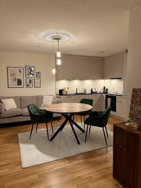 Top performing Airbnb: Calm & cozy apartment in Zurich in Albisrieden