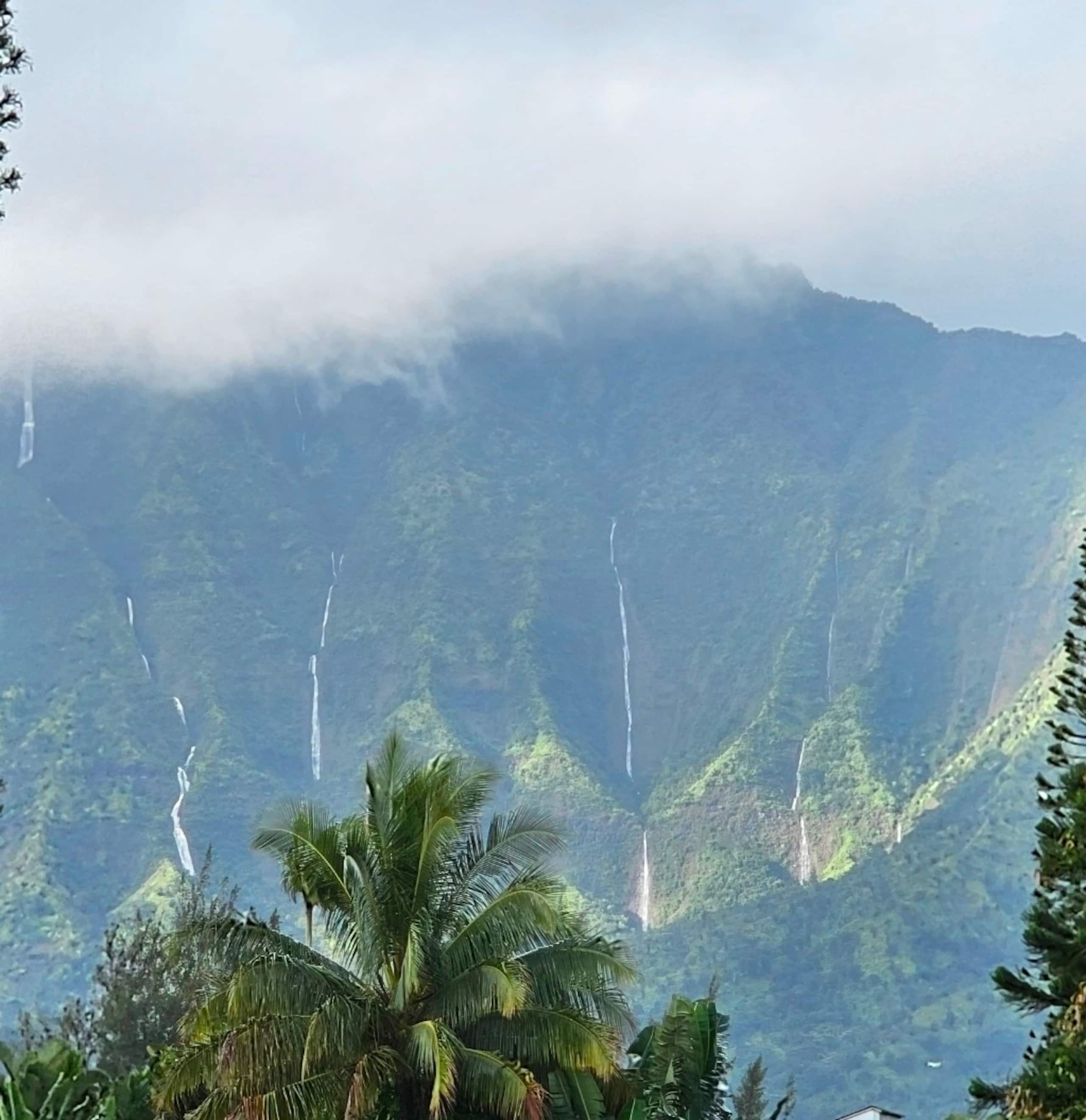 Guesthouse in Princeville · ★5.0 · 1 bedroom · 2 beds · 1 private bath - Image 15