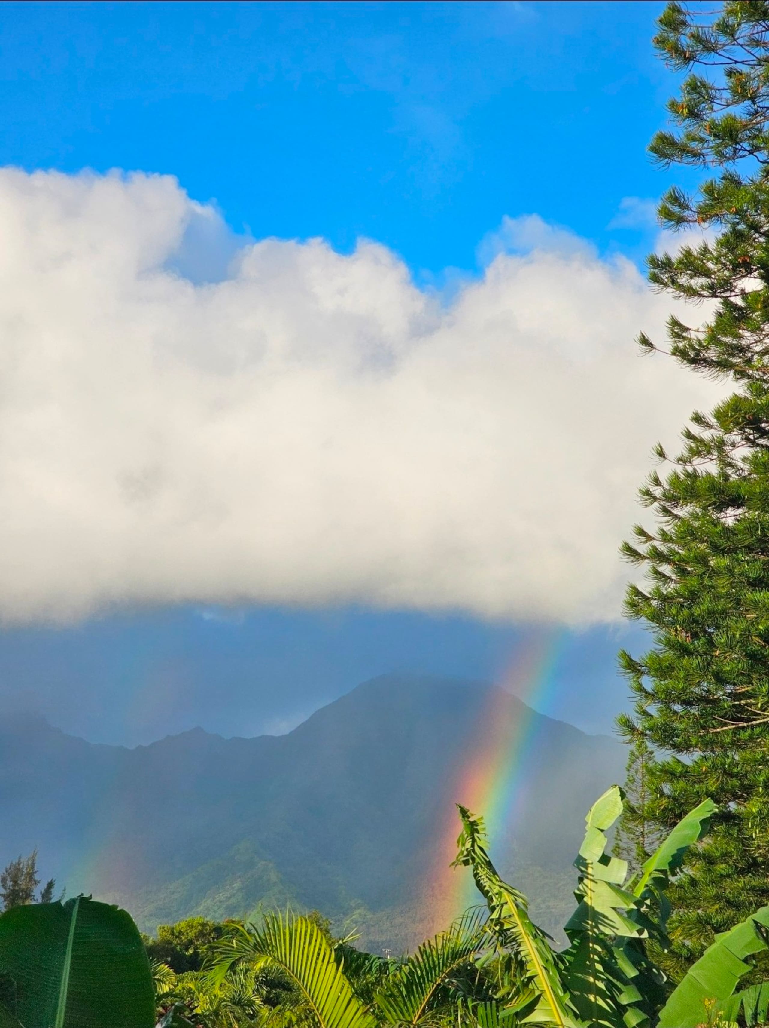 Guesthouse in Princeville · ★5.0 · 1 bedroom · 2 beds · 1 private bath - Image 9