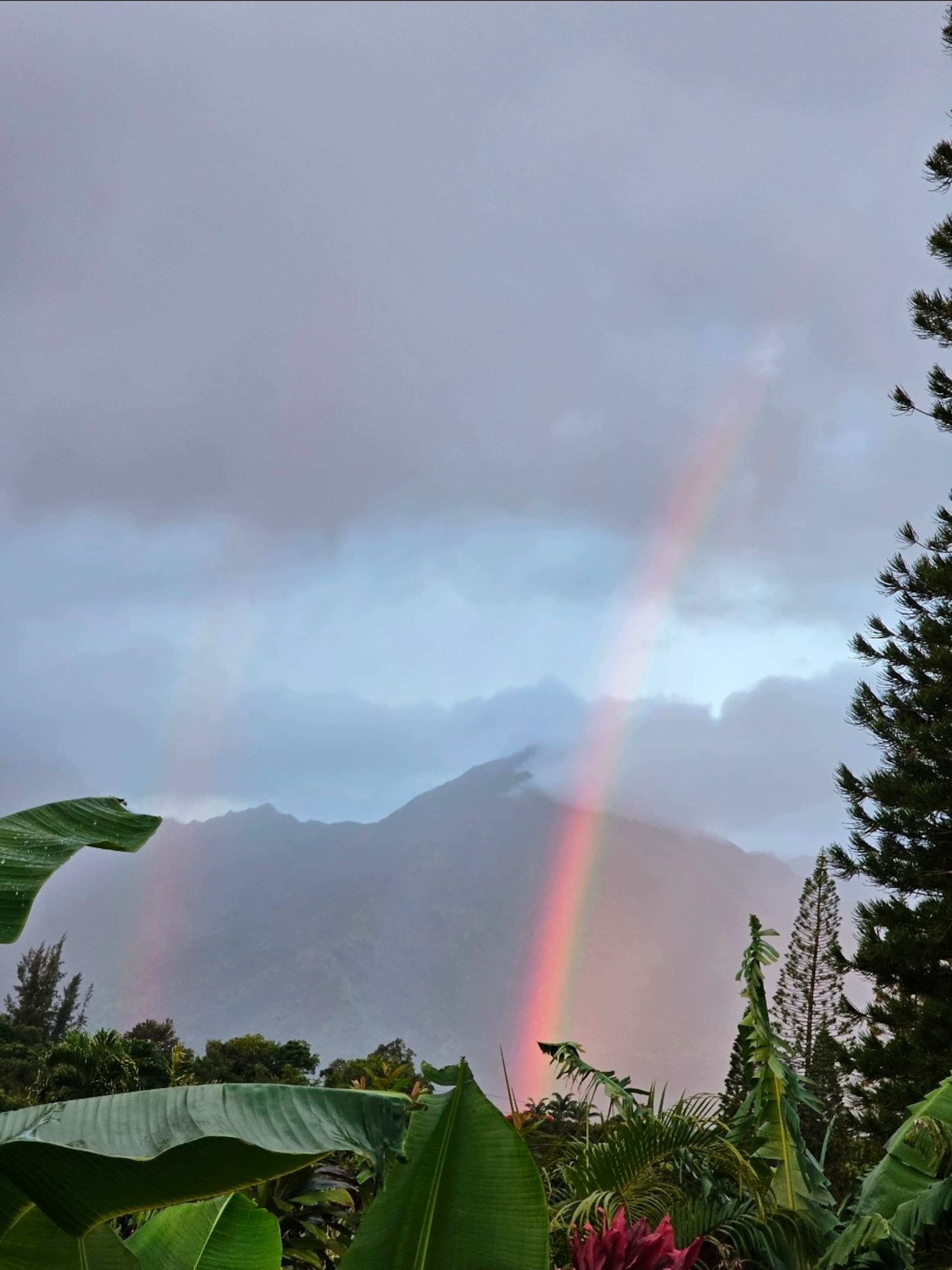 Guesthouse in Princeville · ★5.0 · 1 bedroom · 2 beds · 1 private bath - Image 17