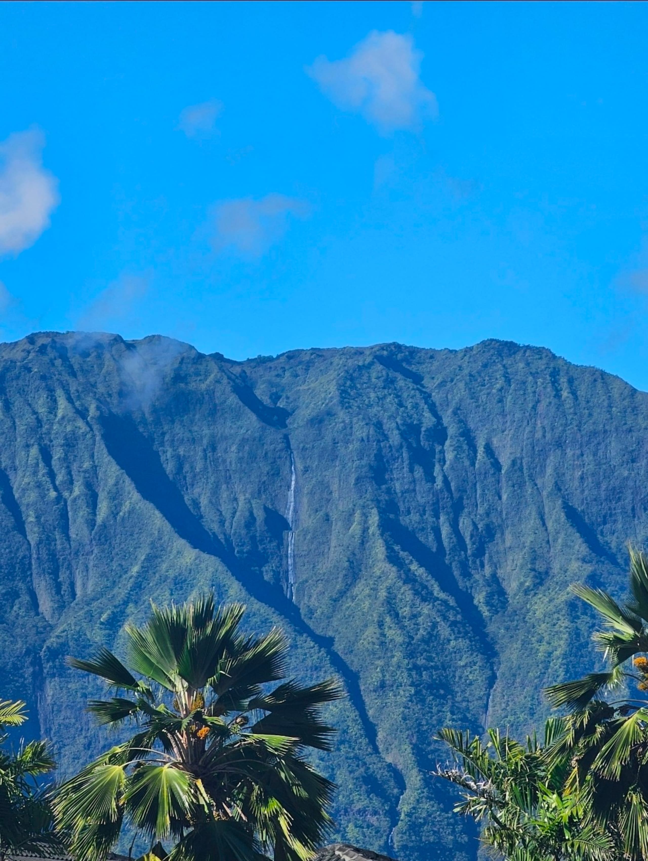 Guesthouse in Princeville · ★5.0 · 1 bedroom · 2 beds · 1 private bath - Image 19