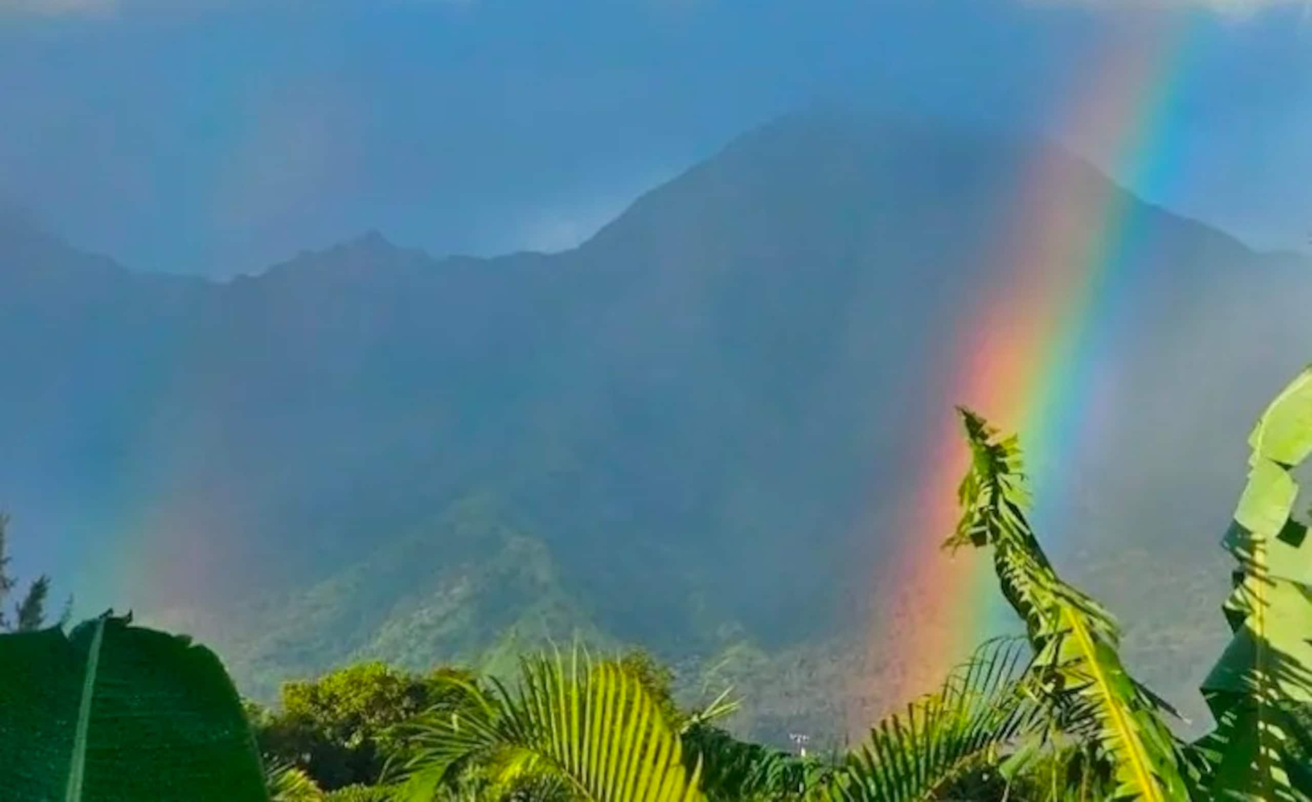 Guesthouse in Princeville · ★5.0 · 1 bedroom · 2 beds · 1 private bath - Image 20