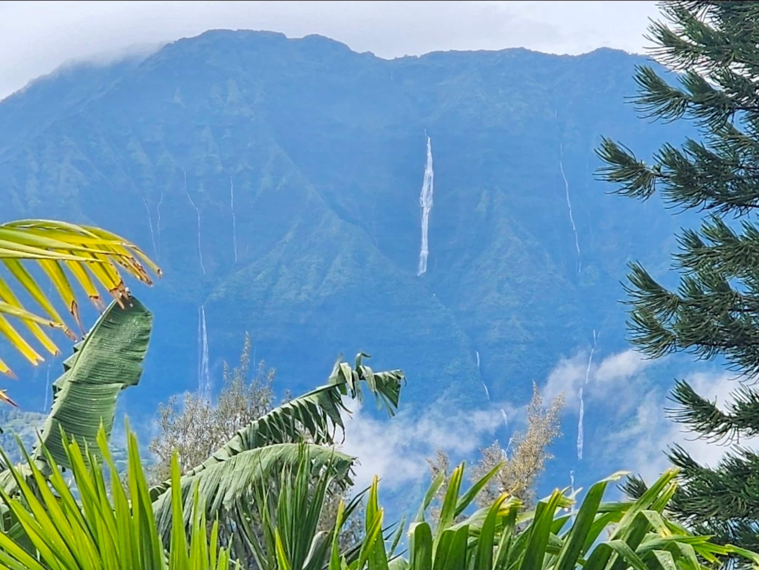 Guesthouse in Princeville · ★5.0 · 1 bedroom · 2 beds · 1 private bath - Image 14