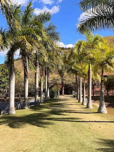 Country house in Rialto, B.Mansa