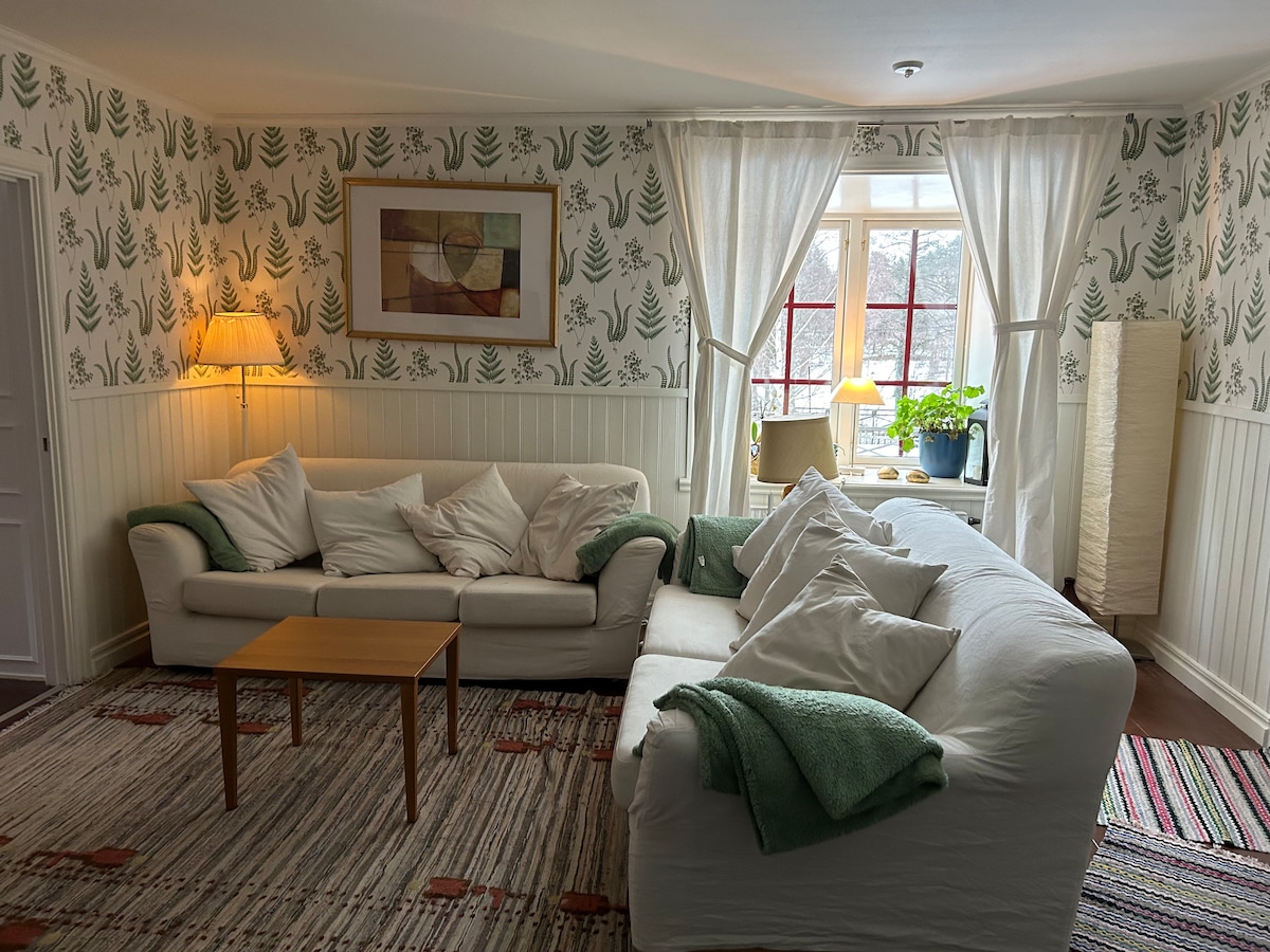 Në katin e poshtëm ka një dhomë televizori me dy divane, si dhe televizor dhe oxhak. Ka gjithashtu një piano elektrike për ata që duan të luajnë! 