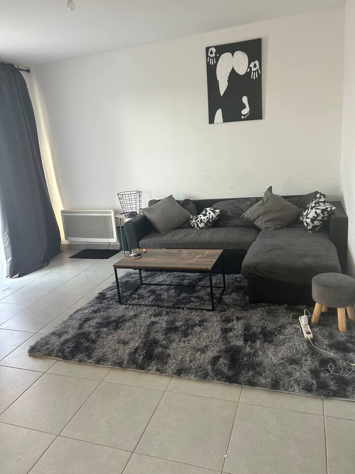 Location Avignon Apartments for Rent in Avignon, ProvenceAlpesCôte