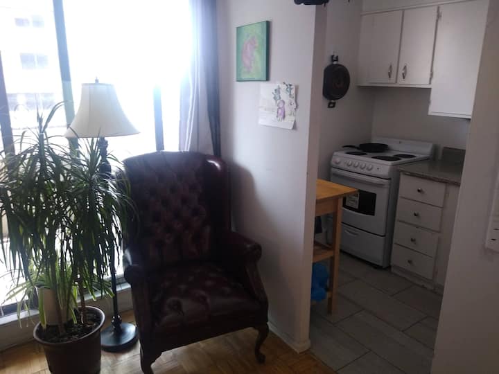 Centrally Located Haven - Toronto
