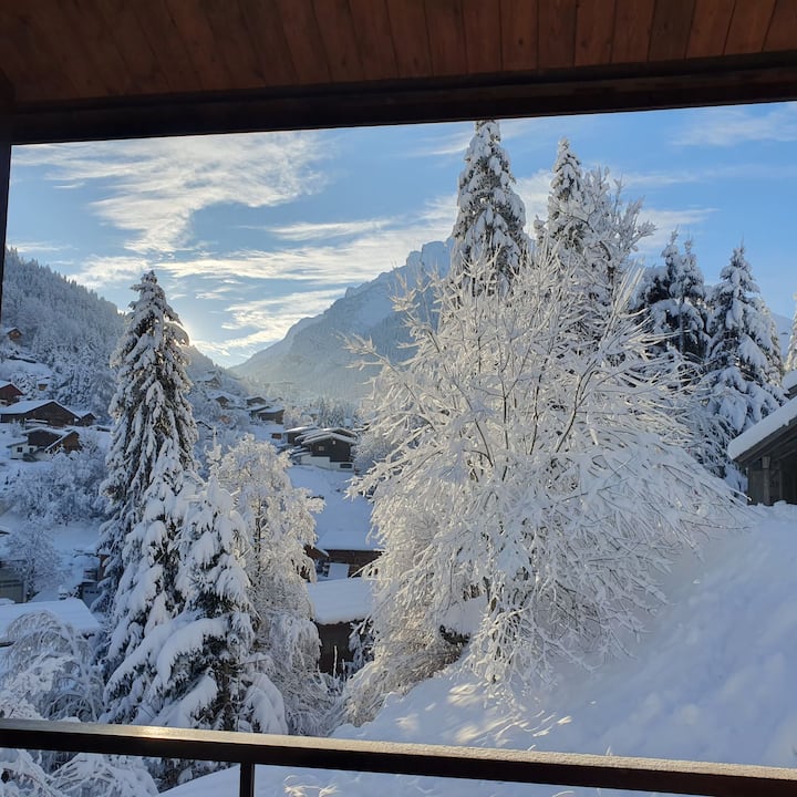Duplex Montagne. Au Pied Des Pistes (Vélos, Ski) - La Clusaz