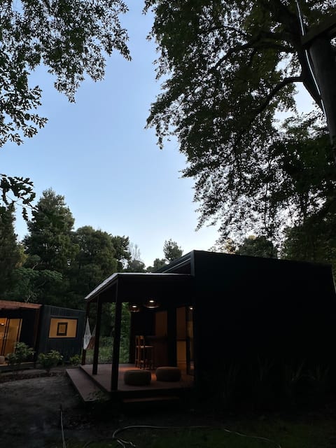 Cabin in the middle of the forest