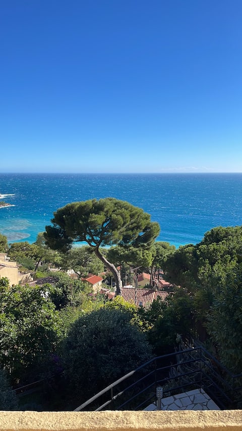 Charmante Villa Eze bord de Mer