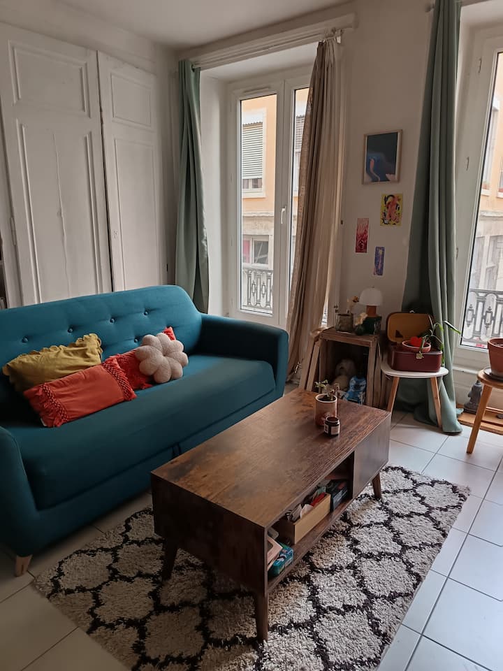 Appartement Cosy Dans Les Pentes - Lyon