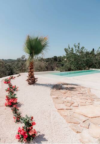 Villa Top of the Hill gallery image 5