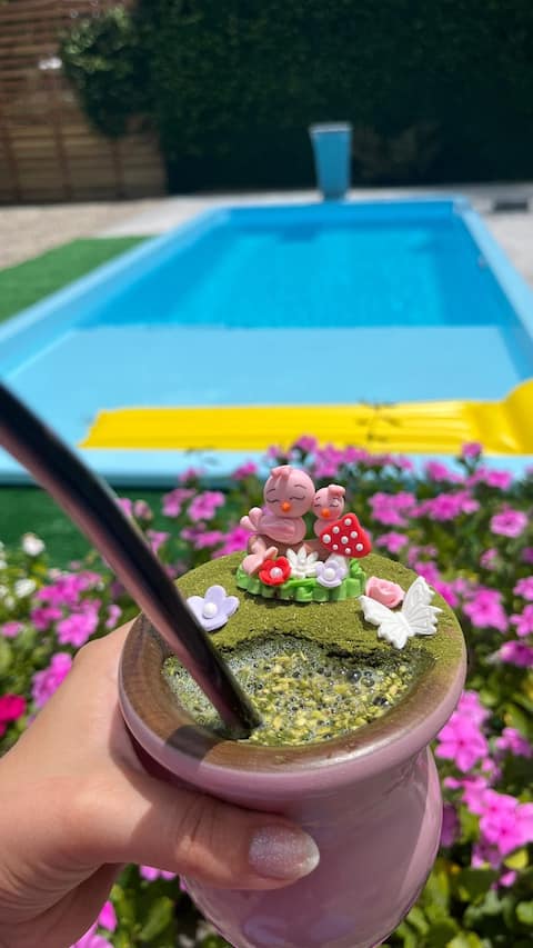 House in Pântano Grande