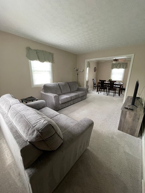 Top Airbnb: Spacious Vacation Home in Dublin OH in Northwest