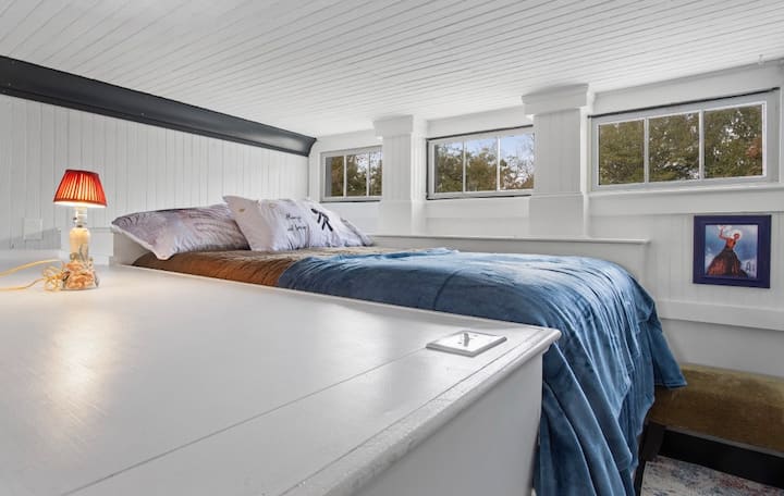 Сън и събуждане, гледайки звезди, върховете на дърветата, нашия квартал Снежанка сова и птици