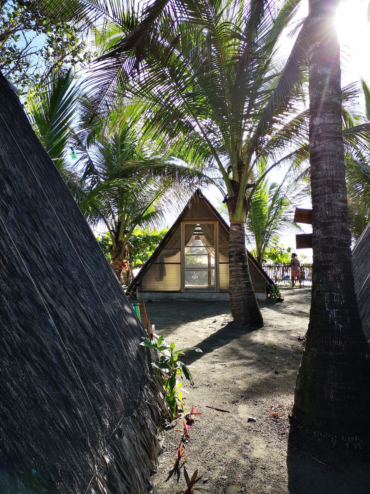 An A-frame structure is surrounded by tall palm trees, creating a tropical atmosphere. Sunlight filters through the leaves, casting shadows on the sandy ground. The entrance features a clear view of the interior.