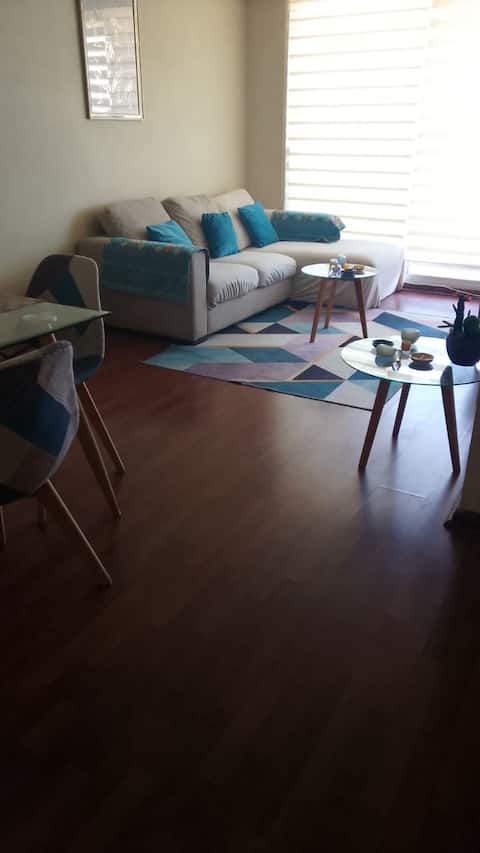 Beautiful downtown apartment with parking