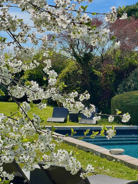 The Vineyard House