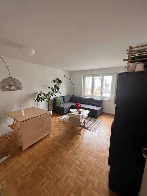 Cosy apartment Baar/Zug
