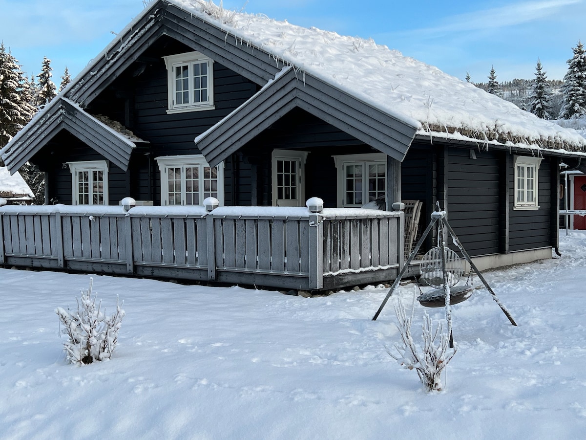 A charming wooden cabin is depicted, featuring a sloped roof covered with snow. The structure has multiple windows framed in white, and a spacious porch lined with a railing. Snow blankets the ground, with small shrubs accentuating the serene winter scene.