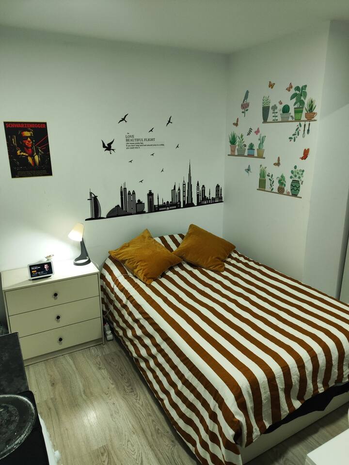 Modern and wellequipped studio Apartments for Rent in Madrid