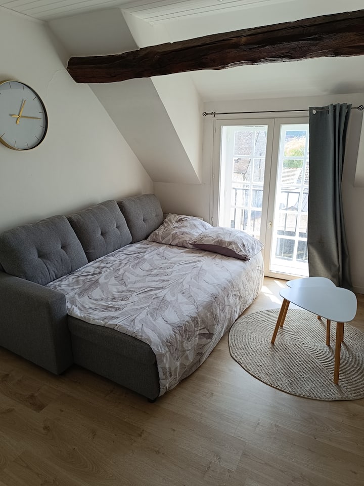 Appartement Cosy Nemours - Nemours