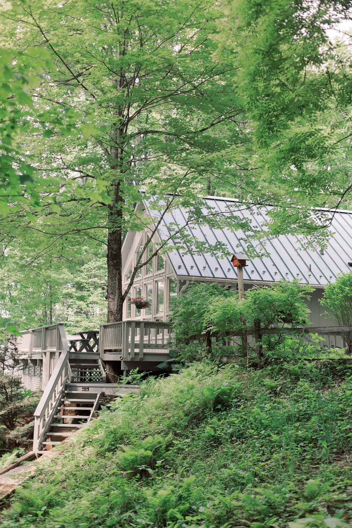 The cabin, framed by lush greenery, is nestled among tall trees. A wooden staircase leads up to the wrap-around porch, which features light-coloured railings and potted plants. The charming structure is accentuated by its sloped roof and serene natural setting.