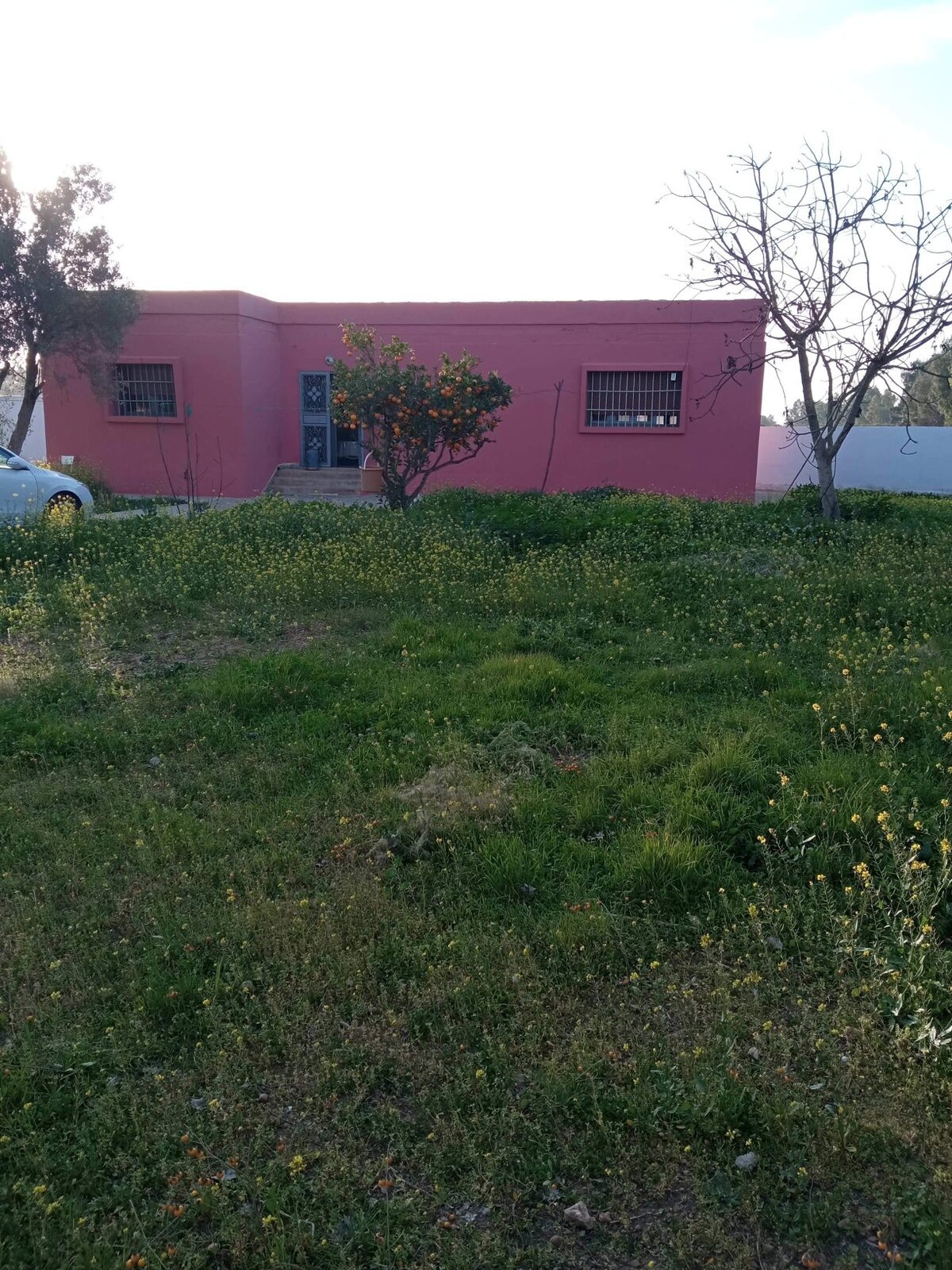 A modest single-story structure is visible, painted in a muted pink hue. Surrounding the building, a lush green area features wildflowers and a small tree. The entrance is accessed by steps, and a vehicle is parked nearby.