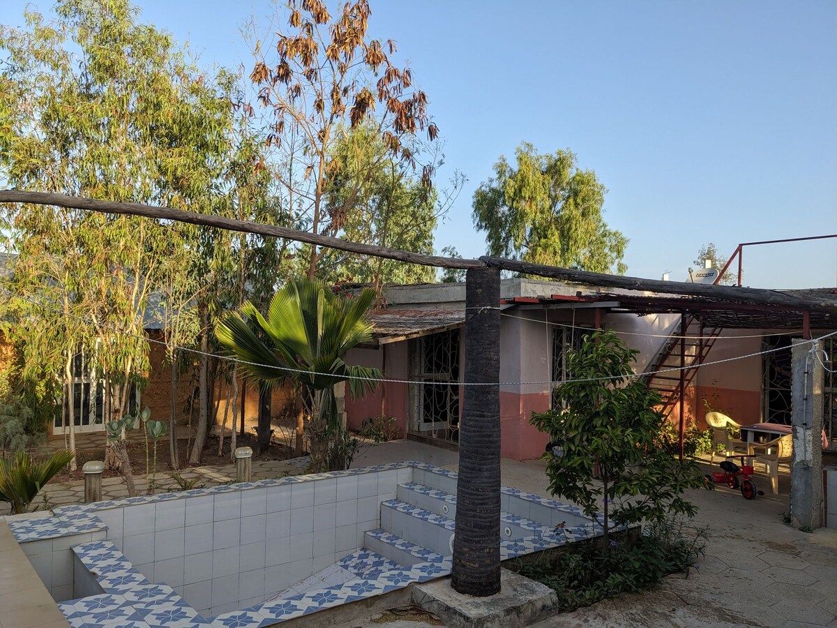 An outdoor space is surrounded by greenery, featuring a tiled swimming pool with steps leading down into the water. A red structure is visible in the background, along with palm and other trees, offering a sense of tranquility. The sky is clear and blue.