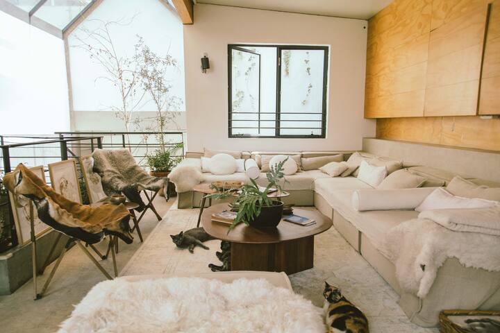 Casa TAO PH in Condesa gallery image 4