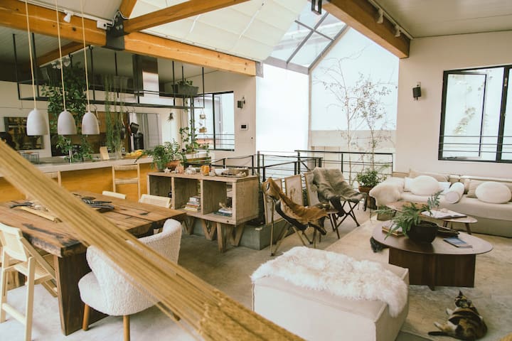 Casa TAO PH in Condesa gallery image 2