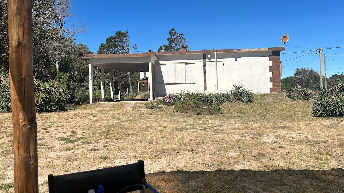 A single-story house is set within a landscaped area, surrounded by greenery and flowering plants. The structure features a flat roof and is painted in light colors, providing a modern appearance. A pathway leads up to the house from the lawn, under a clear blue sky.