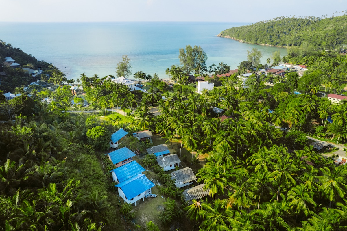 An aerial view showcases a vibrant landscape featuring lush greenery and swaying palm trees, leading to calm waters. The coastal area includes several structures with blue roofs nestled among the trees, contributing to a serene and inviting atmosphere.