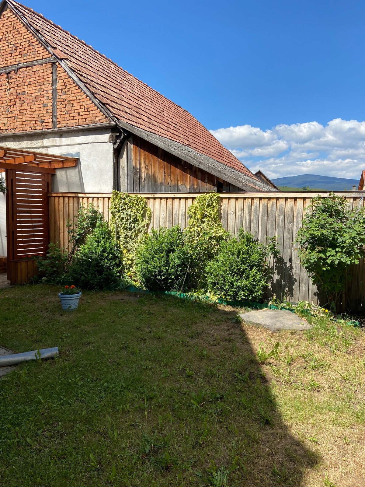 A green garden area featuring a well-maintained lawn and shrubs. A wooden fence runs along the perimeter, with a rustic building visible in the background under a clear blue sky. The area offers a peaceful outdoor space for relaxation.