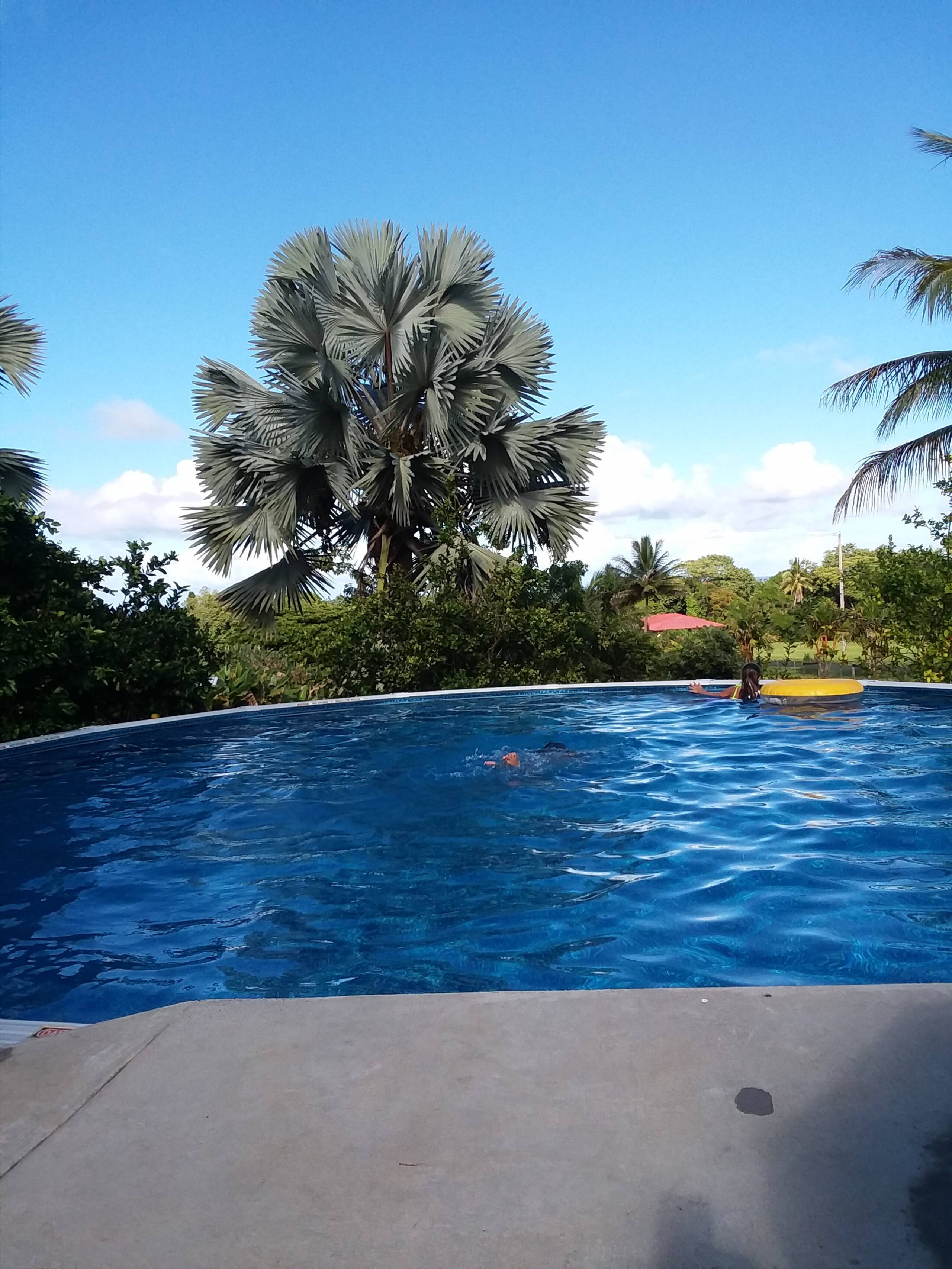 Home in Papaikou · ★5.0 · 1 bedroom · 1 bed · 1 bath - Photo 32