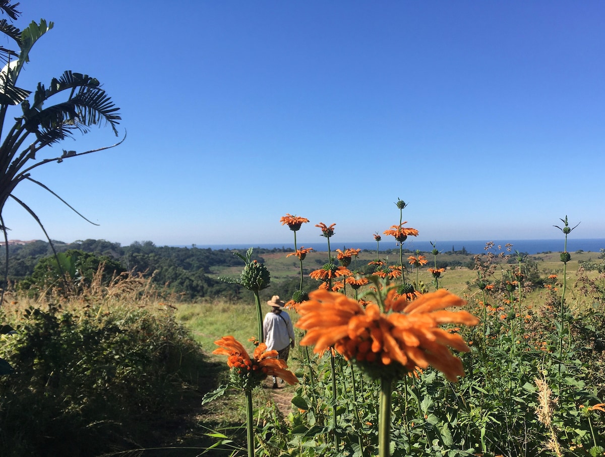 Vibrant orange flowers are prominently featured in the foreground, with a sweeping view of lush green hills leading to the Indian Ocean in the background. A clear blue sky completes the peaceful landscape, inviting exploration of the natural surroundings.