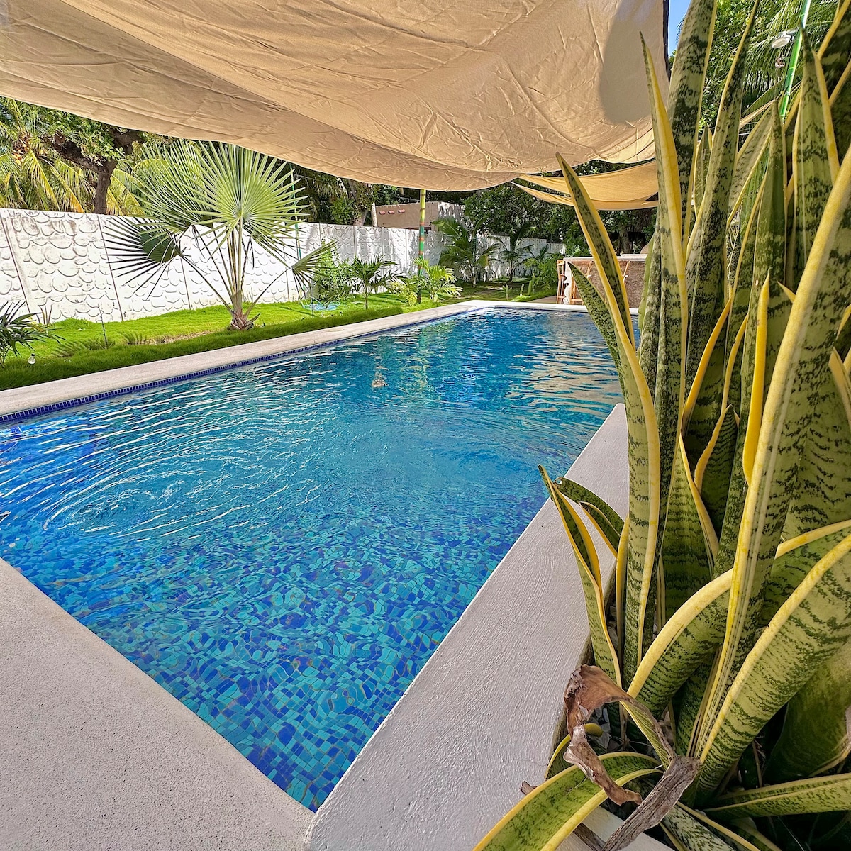 A clear swimming pool reflects sunlight, surrounded by lush greenery and palm plants. A shaded area is visible above the pool, providing a comfortable space for relaxation. The serene setting offers an inviting atmosphere for enjoyment and leisure.