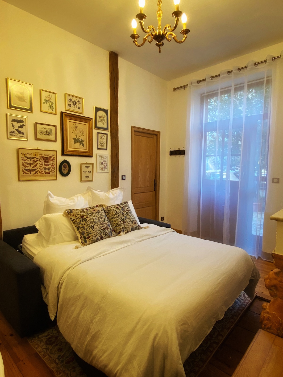 Popular Airbnb listing: Cosy cocoon - Hyper Center in Toulouse