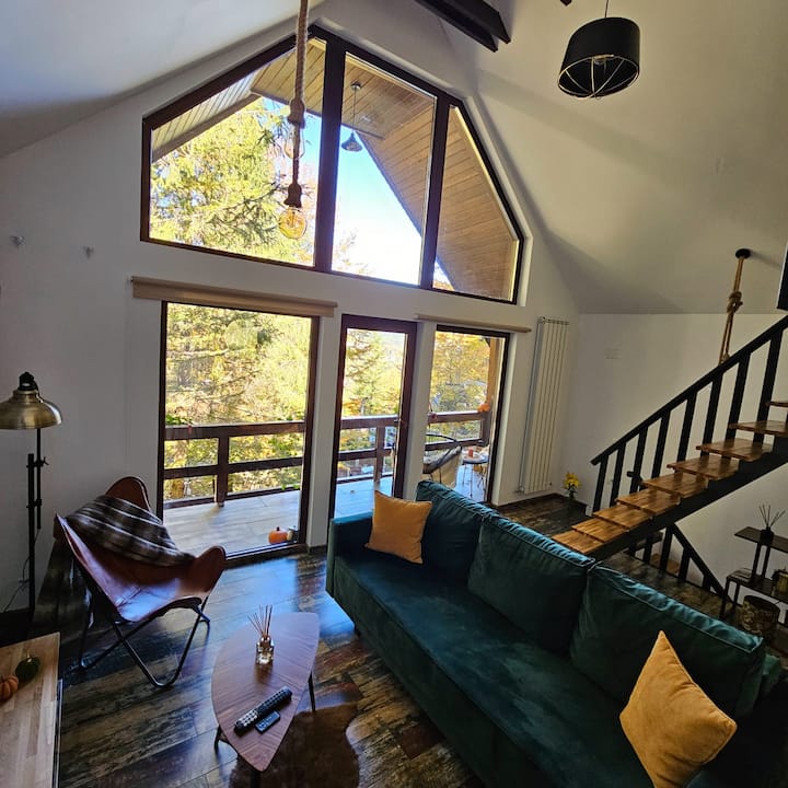 Wild House - Sinaia