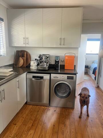 Salty Seadog gallery image 2