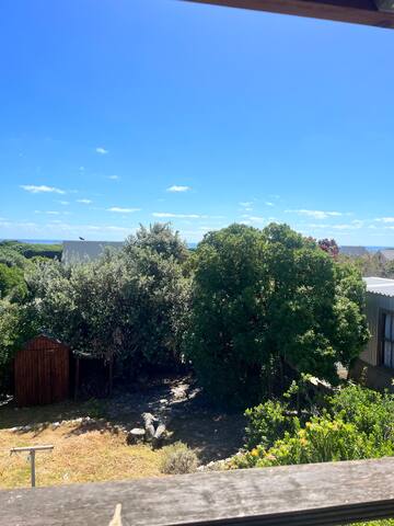 Salty Seadog gallery image 5