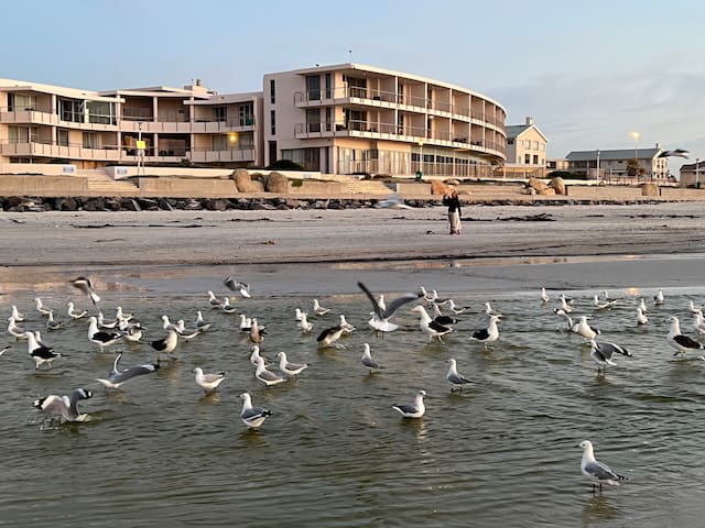 Lagoon Beach apartments 133