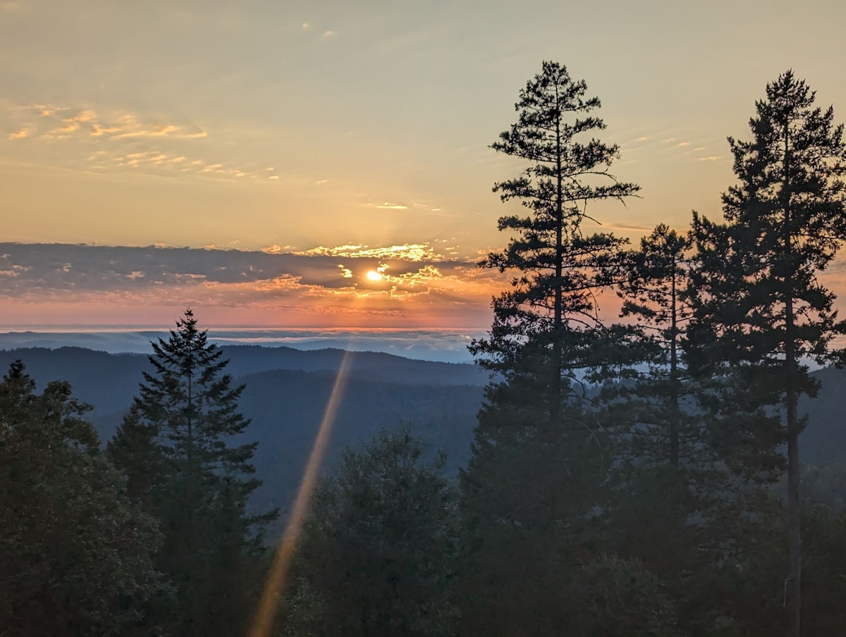 A serene sunrise is captured over a mountain landscape, revealing layers of hills bathed in soft orange and pink hues. Silhouettes of tall trees frame the scene, while a faint mist covers the valleys, enhancing the tranquil atmosphere.