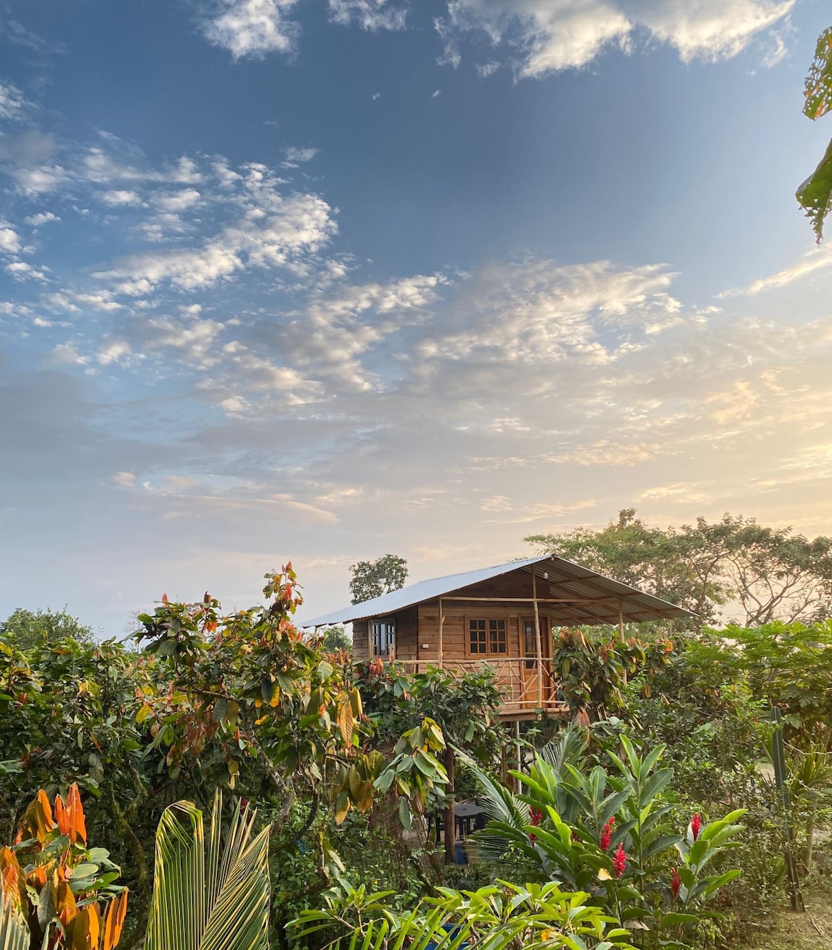 A wooden treehouse sits nestled among lush greenery under a clear sky. The structure features large windows and a balcony that offer a view of the surrounding landscape. Vibrant plants and trees frame the home, creating a serene and inviting atmosphere.