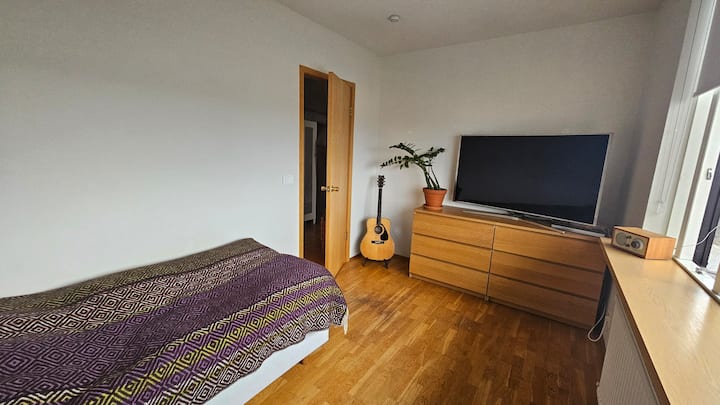 55-palcový televízor s Chromecastom. Táto spálňa má dve samostatné postele (90 cm x 200 cm), ako je vidieť na inej fotke.