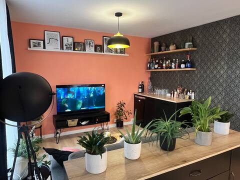 Apartment in the heart of the 2024 Olympic Games