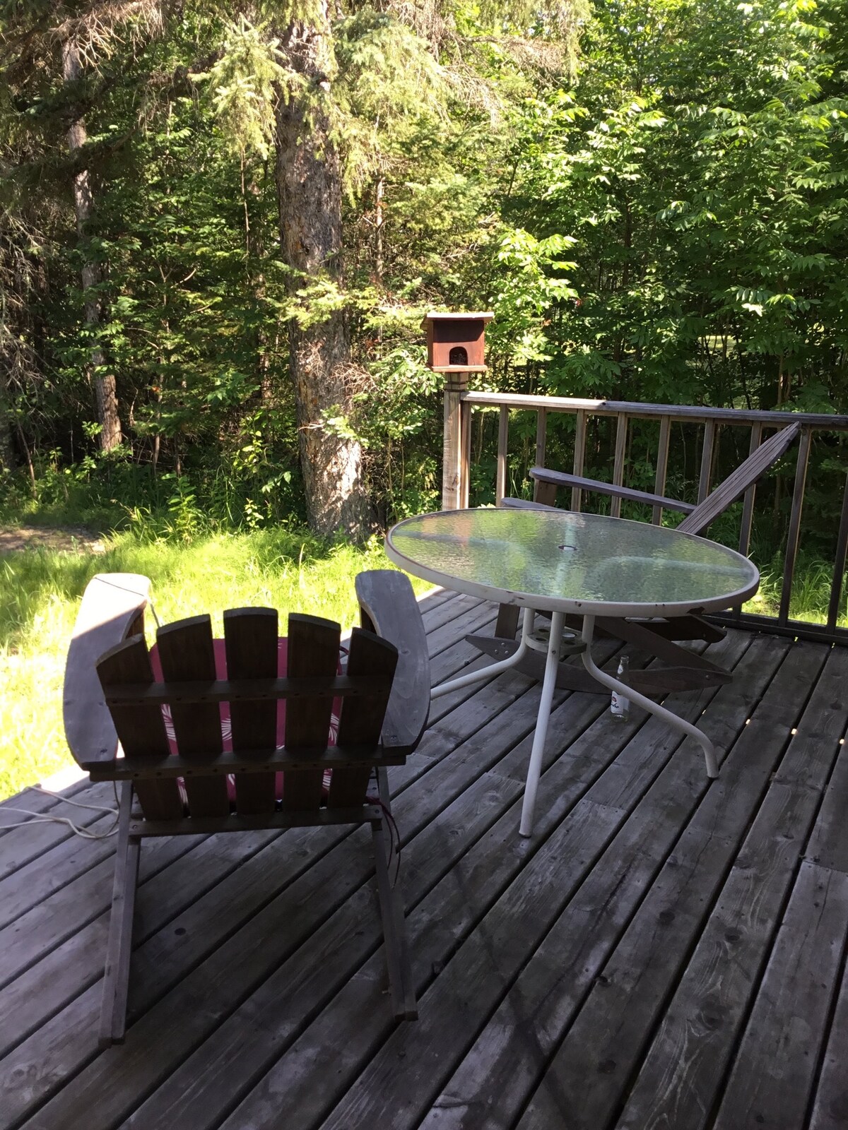A wooden deck area is surrounded by lush greenery, featuring a glass-top table and two chairs. A birdhouse is visible in the trees, adding a touch of nature to the serene outdoor space.