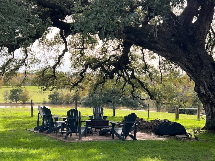 Green House Houses for Rent in Smithville, Texas, United States Airbnb