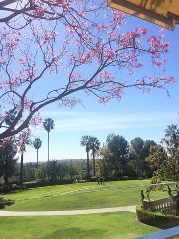 Private Cottage @ 5 Star Resort 2R/3B/Full Kitchen